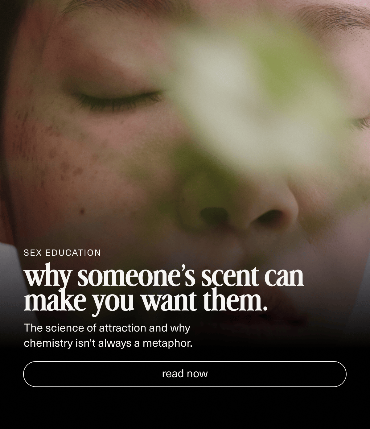 Sex Education | why someone’s scent can make you want them. | The science of attraction and why chemistry isn't always a metaphor. | [ read now ]