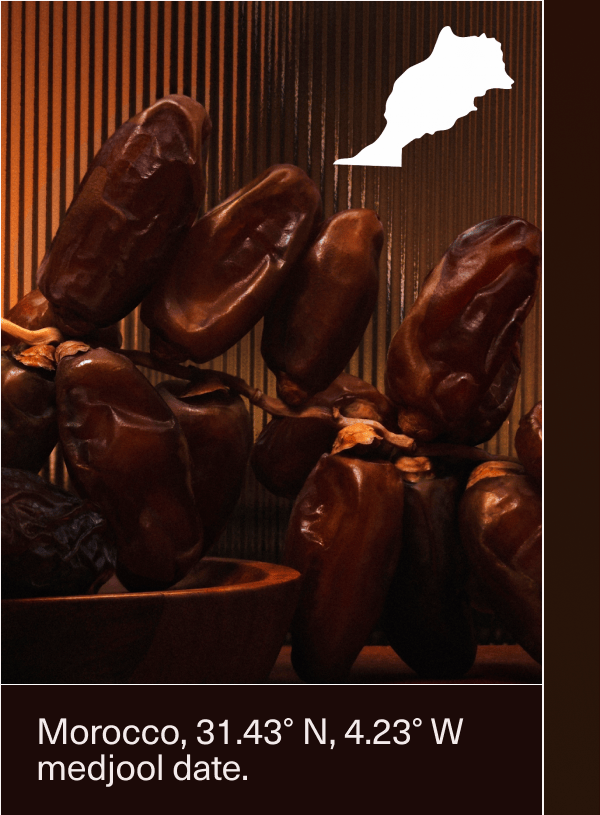 Morocco, 31.43° N, 4.23° W | medjool date.