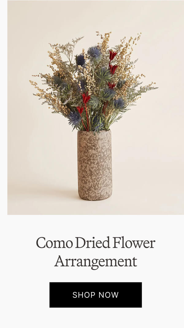 Como Dried Flower Arrangement. Shop now