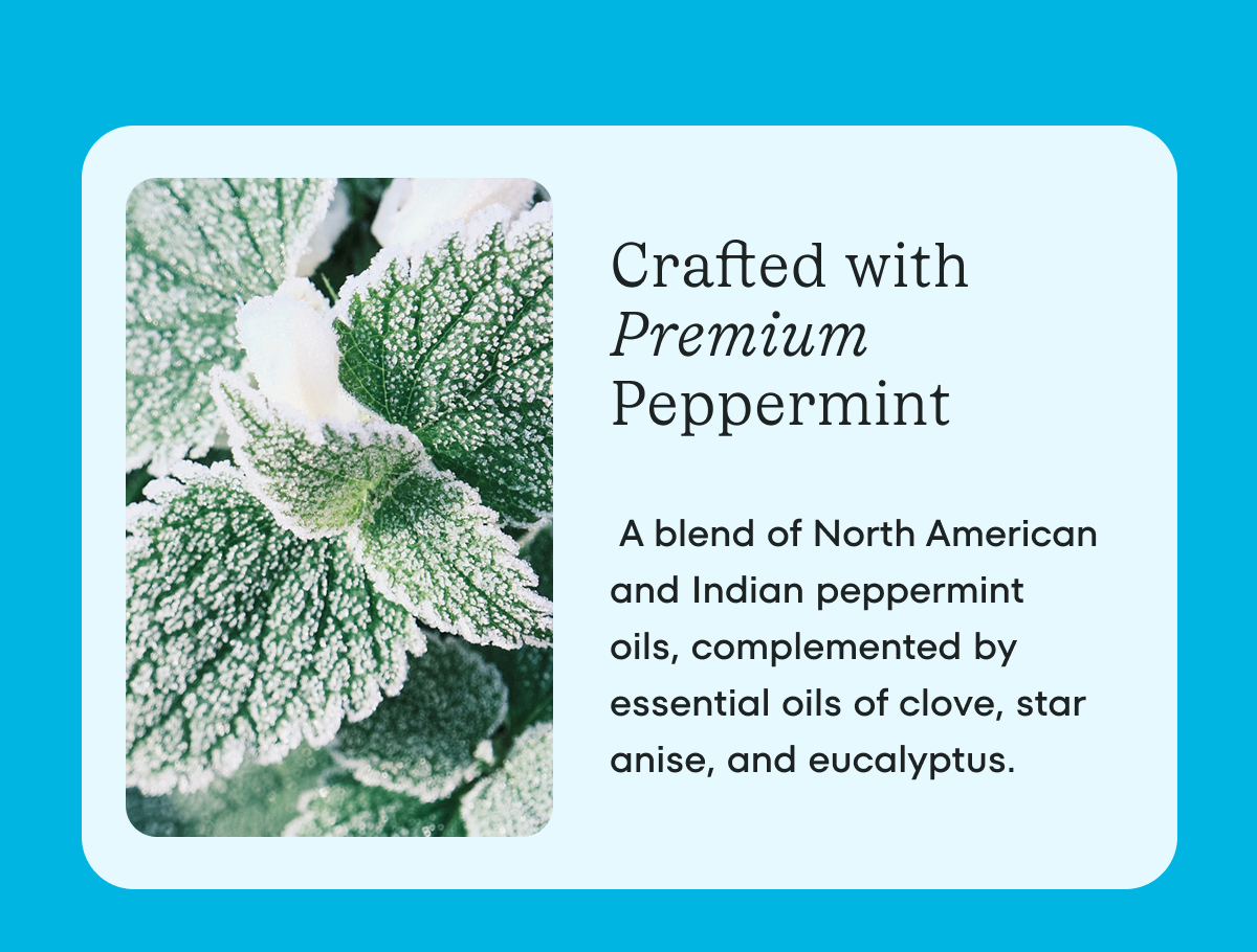 Crafted with Premium Peppermint