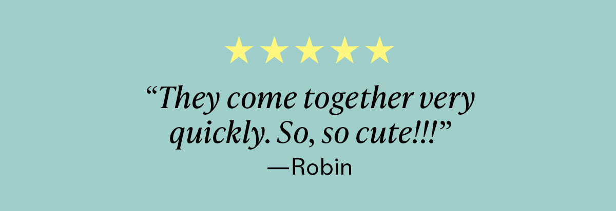★★★★★ "They come together very quickly. So, so cute!!!" - R