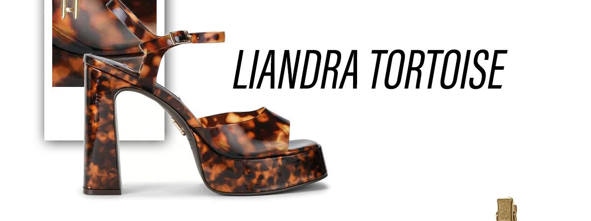 Liandra Tortoise