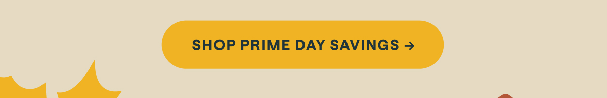 Shop Prime Day Savings 