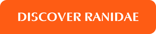 DISCOVER RANIDAE