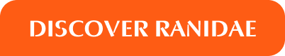 DISCOVER RANIDAE
