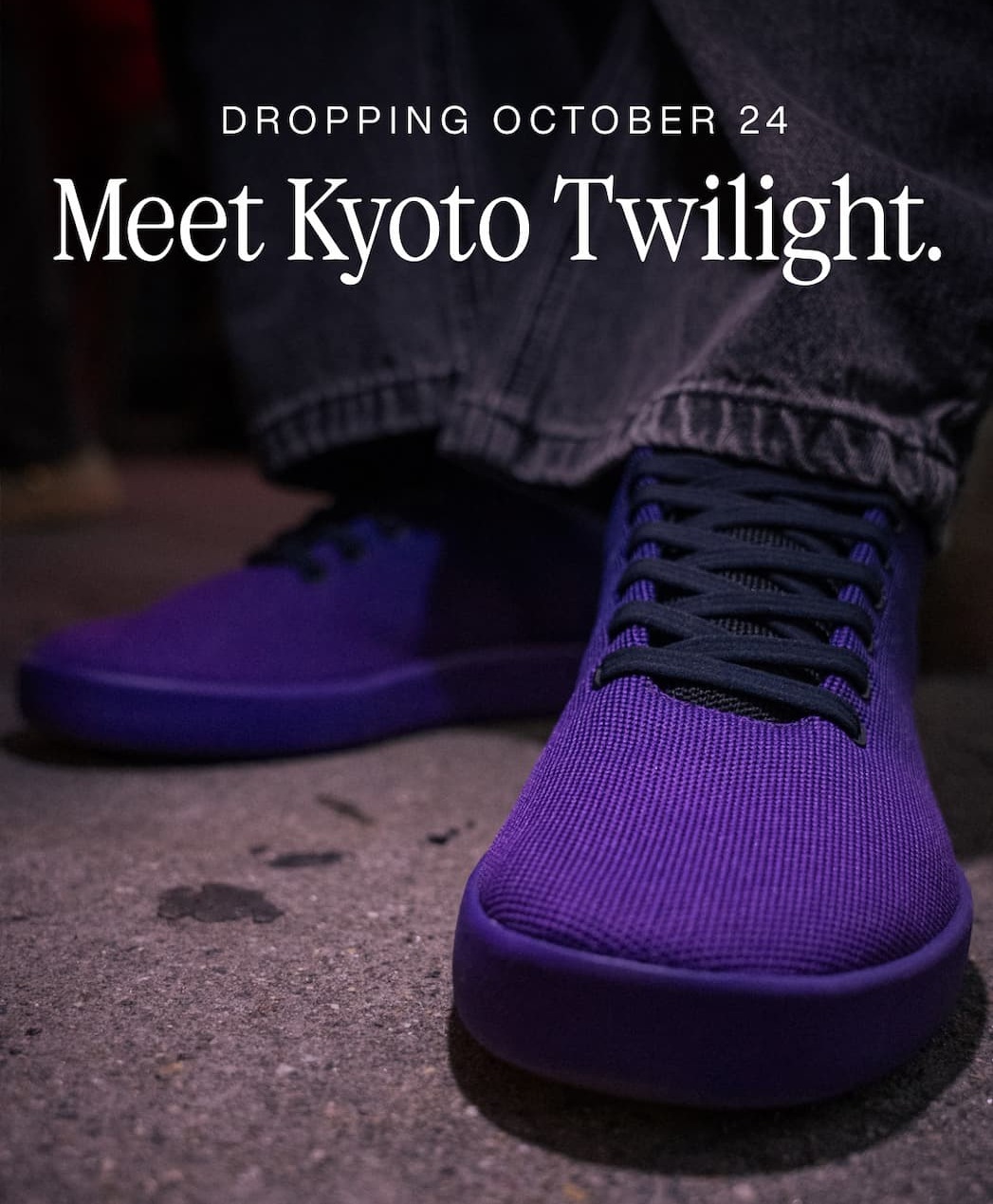 Meet kyoto twilight
