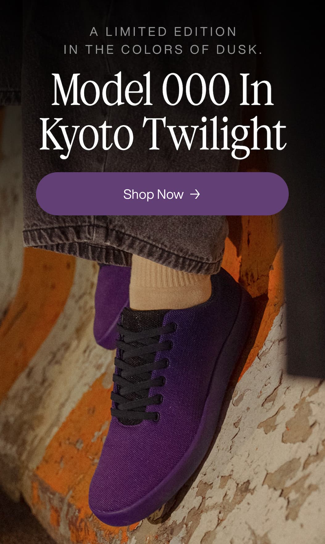 Model 000 in Kyoto Twilight