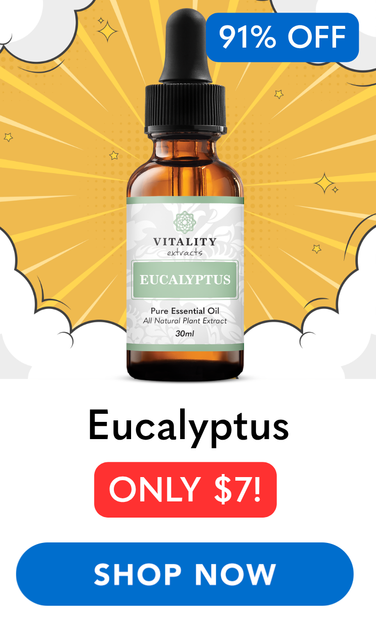 Eucalyptus
