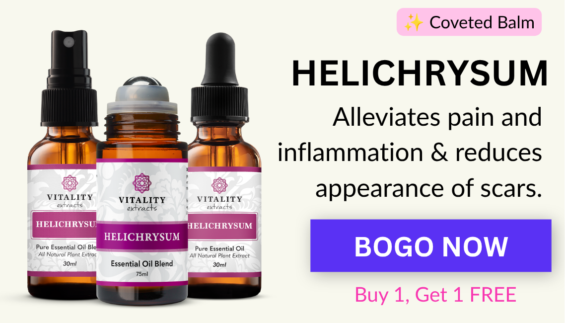 Helichrysum