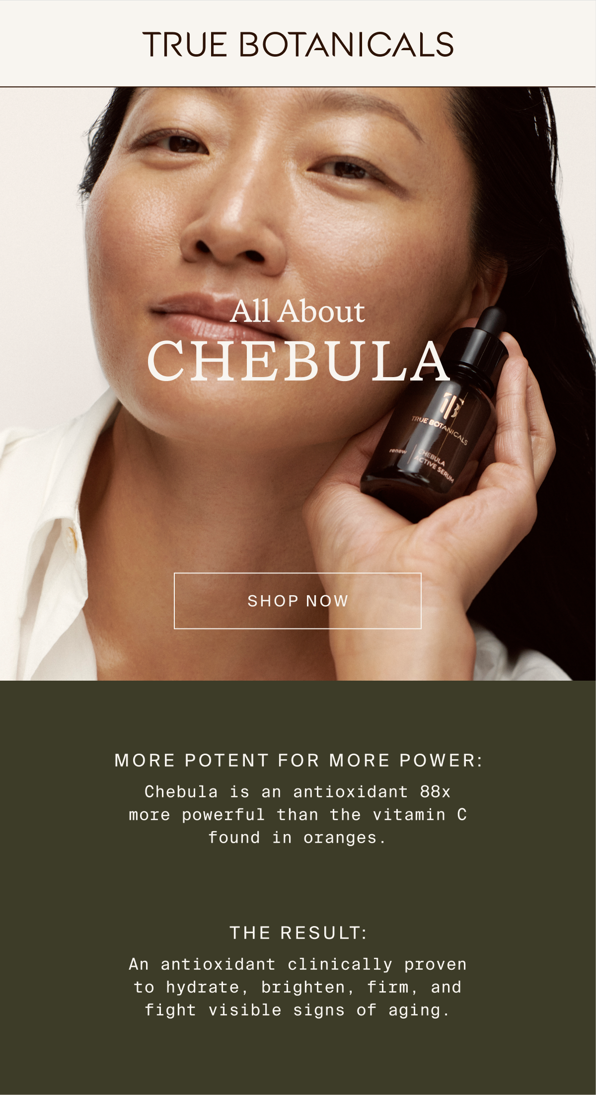 All About Chebula