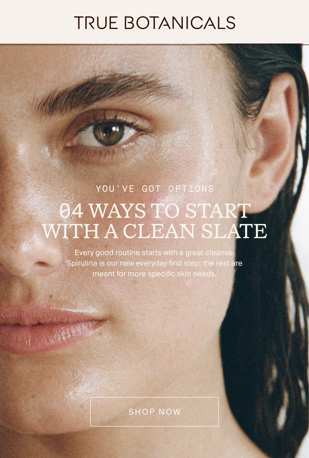 Cleanser Breakdown