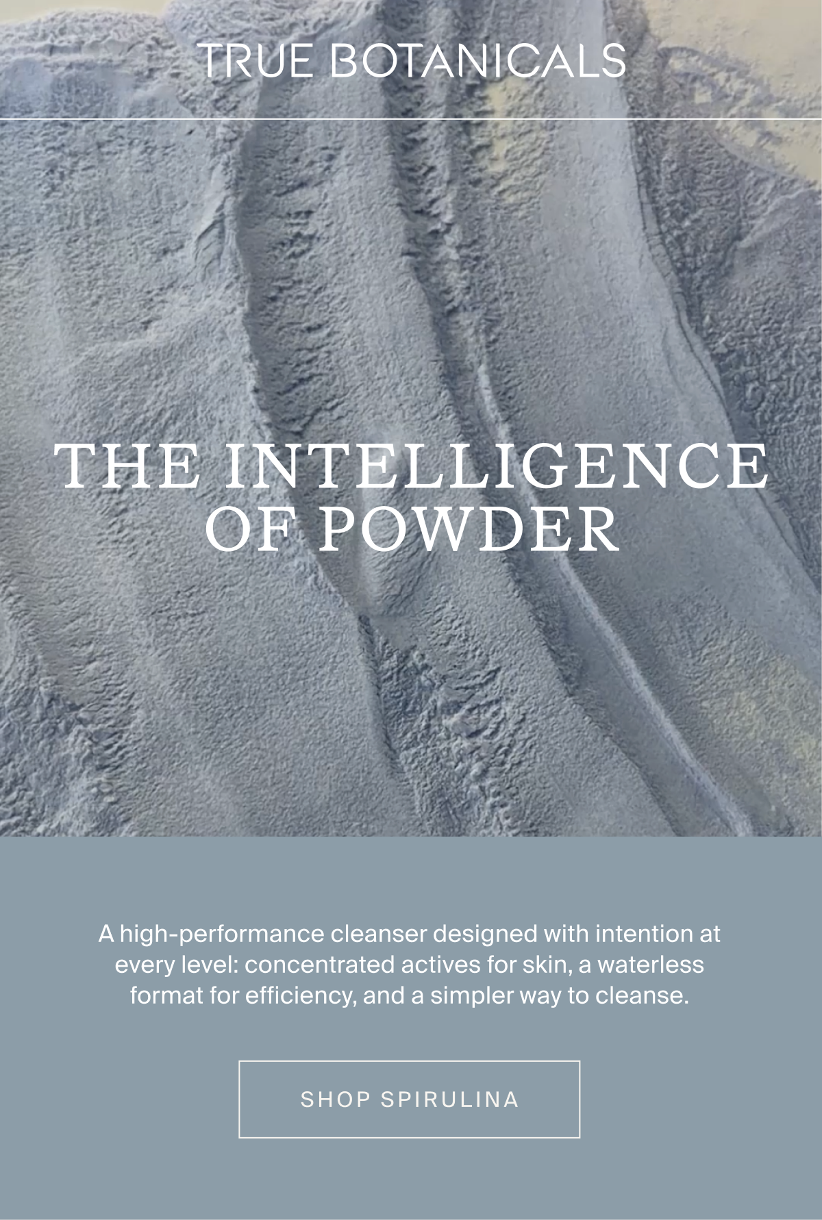 The Intelligence of Powder