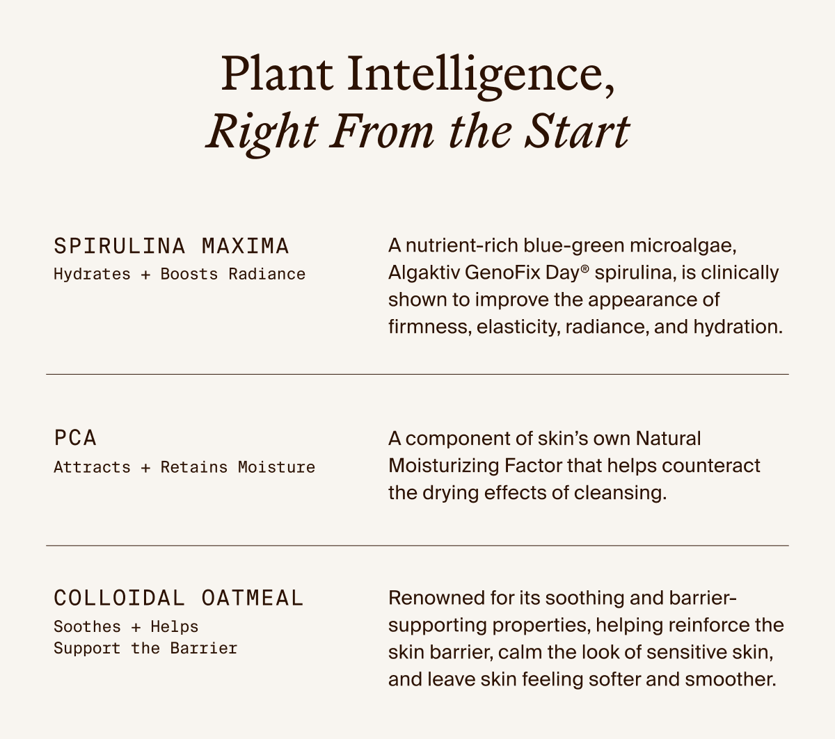 Spirulina Cleansing Powder Ingredients