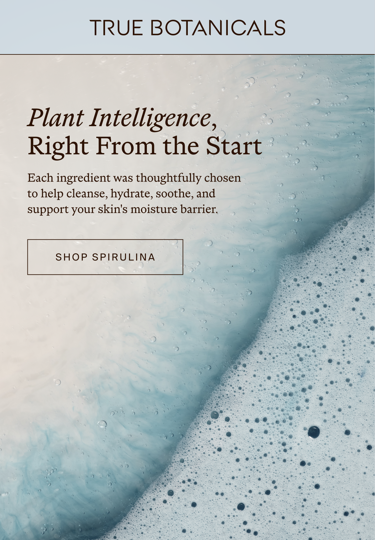 Plant Intelligence, Right From the Start