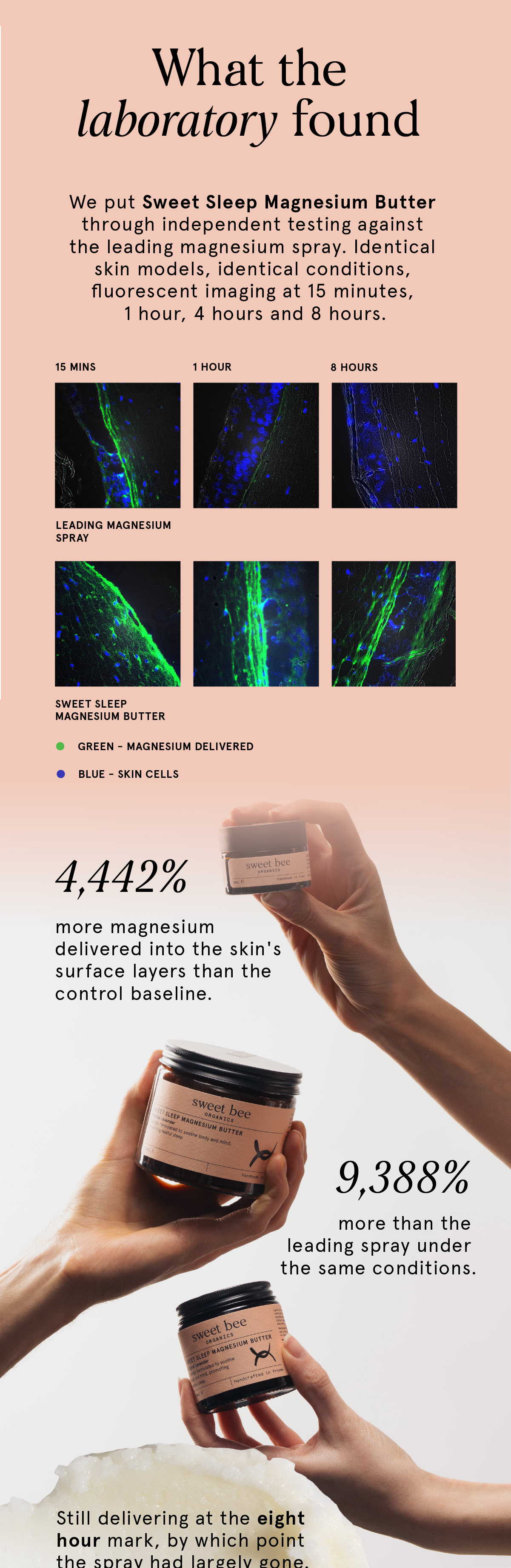 What the laboratory found: independent testing against the leading magnesium spray, with fluorescent imaging at 15 minutes, 1 hour, 4 hours and 8 hours. 4,442% more magnesium delivered into the skin's surface layers than the control baseline, and 9,388% more than the leading spray. What the laboratory found: independent testing against the leading magnesium spray, with fluorescent imaging at 15 minutes, 1 hour, 4 hours and 8 hours. 4,442% more magnesium delivered into the skin's surface layers than the control baseline, and 9,388% more than the leading spray.