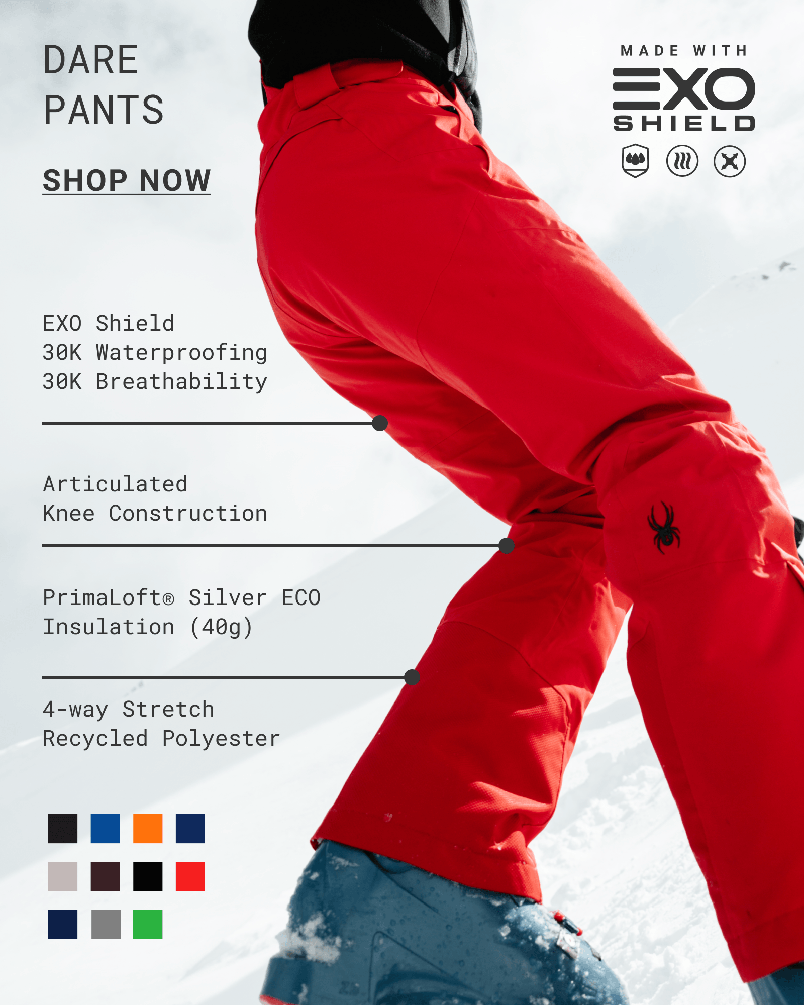 DARE PANTS
