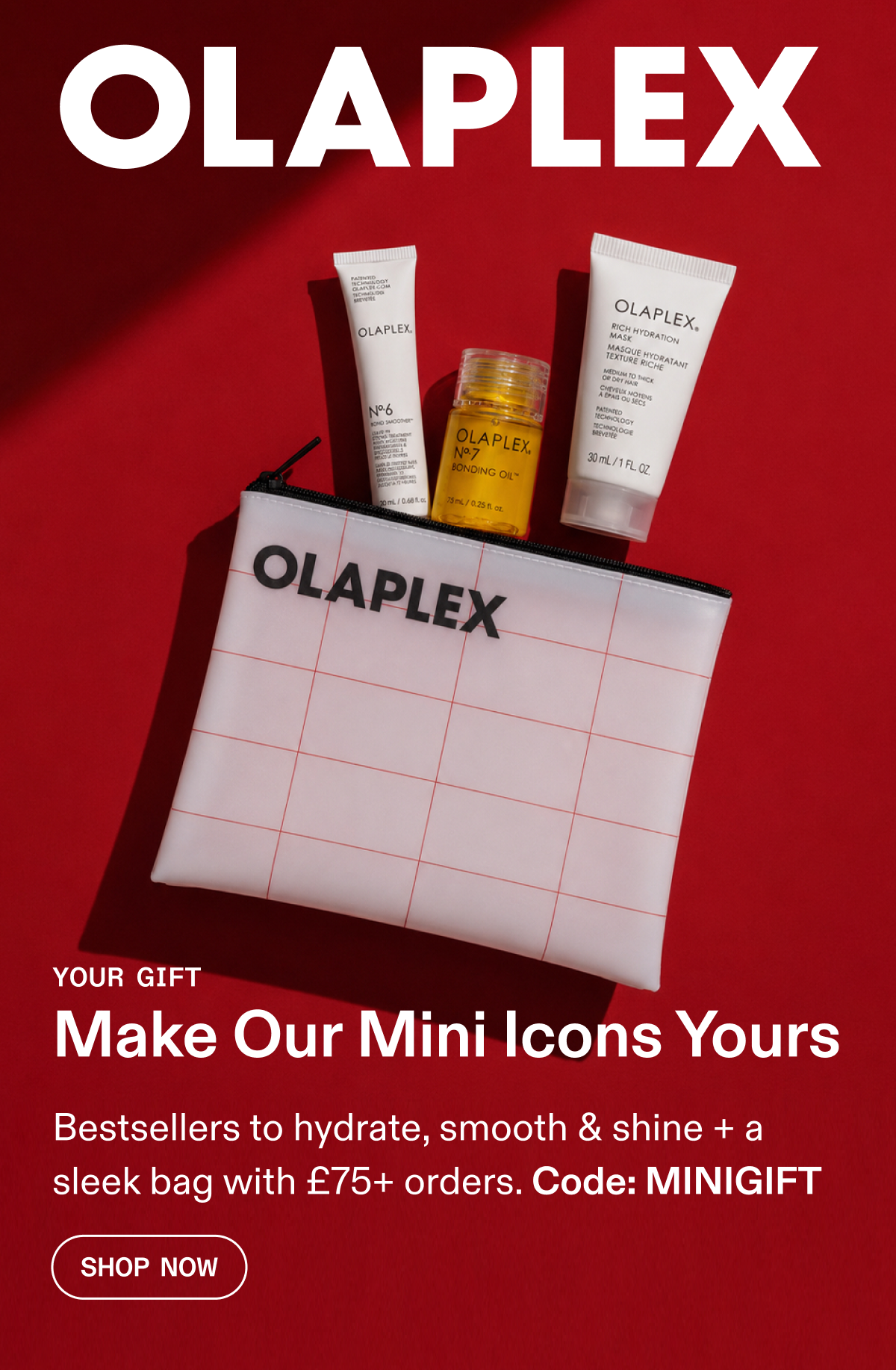 Make Our Mini Icons Yours | Shop Now