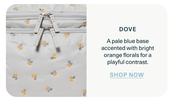 Shop Dove
