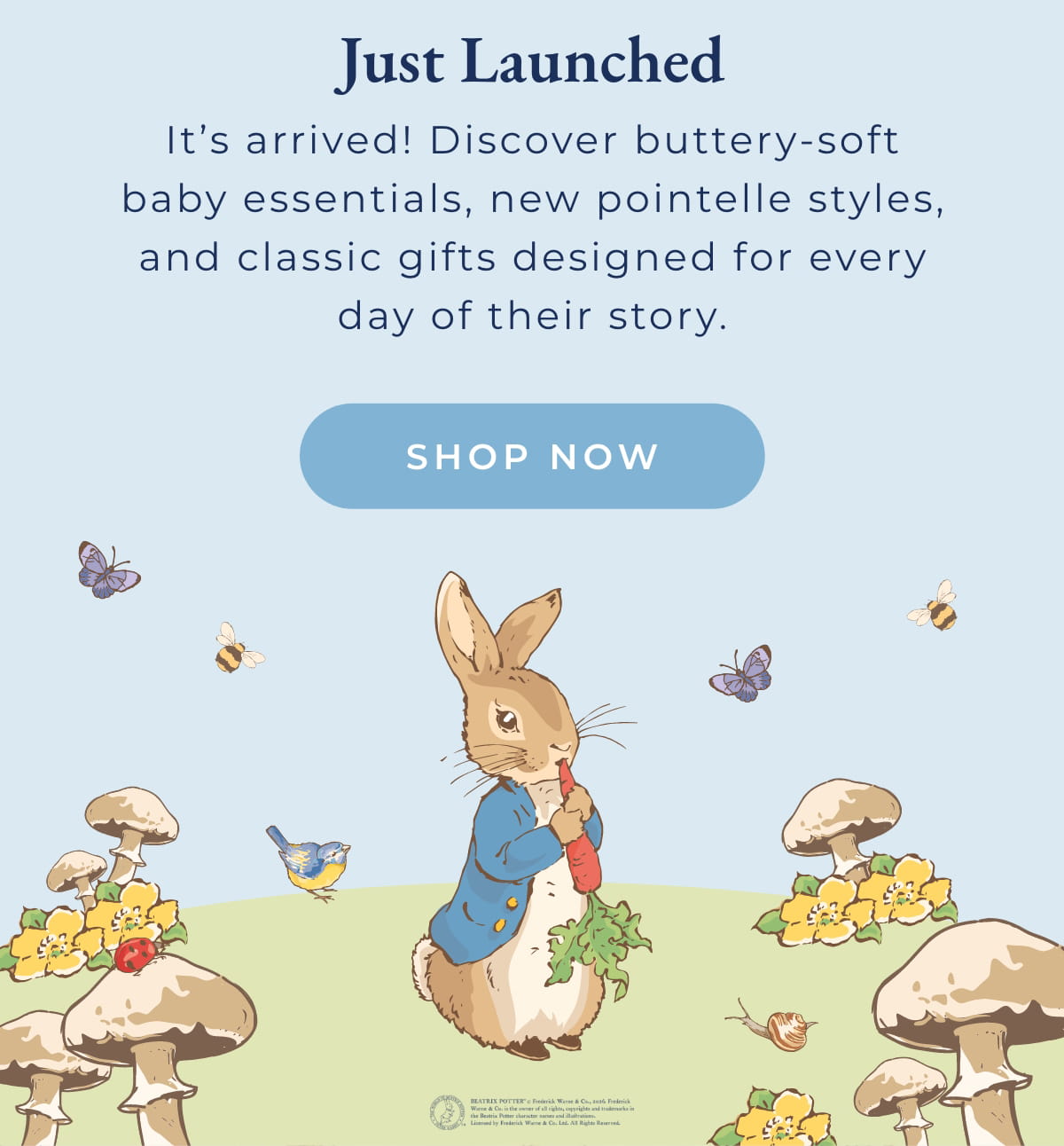 Just Launched: It's arrived! Discover buttery-soft babay essentials, new pointelle styles, and classic gifts designed for every day of their story. [SHOP NOW]