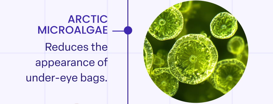 ARCTIC MICROALGAE Reduces the appearance of under-eye bags.