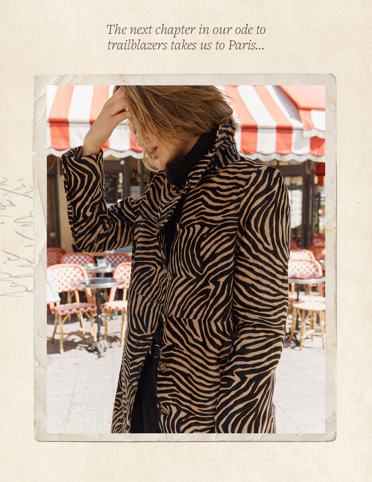 New Arrivals