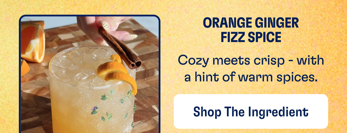 Orange Ginger Fizz Spice | Cozy meets crisp - with a hint of warm spices. Shop The Ingredient