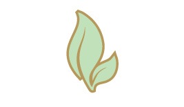 SHOP ORGANIC