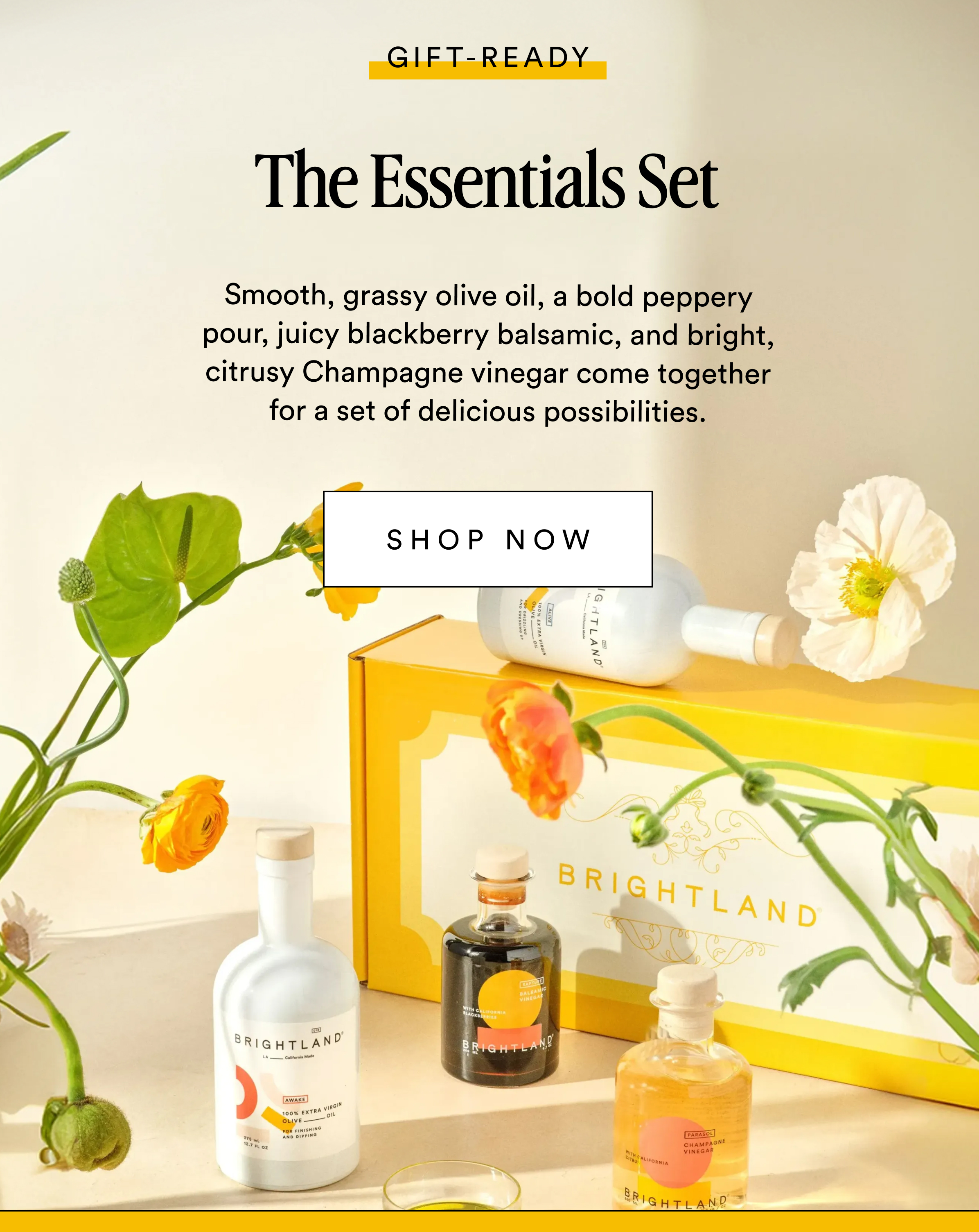 The Essentials Set