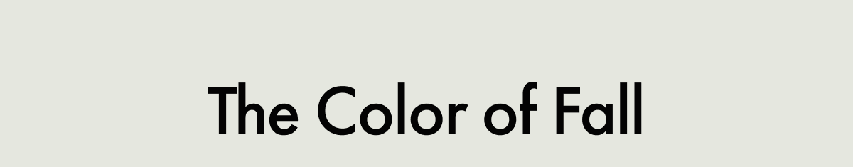 The Color of Fall