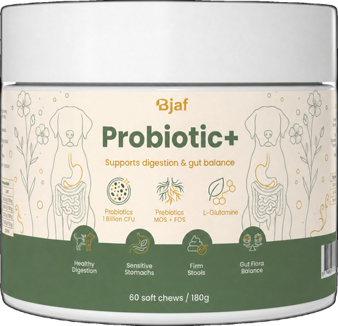 Bjaf Probiotika+