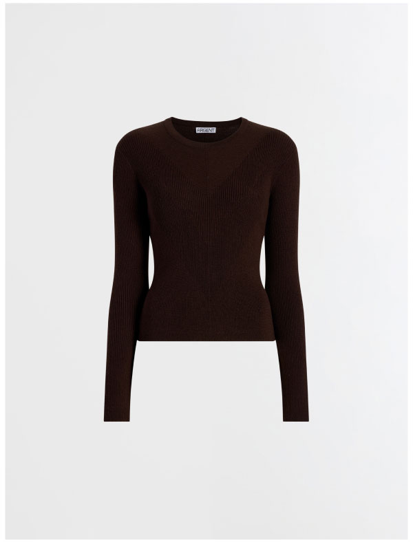 Knit Longsleeve Crew in Merino Silk