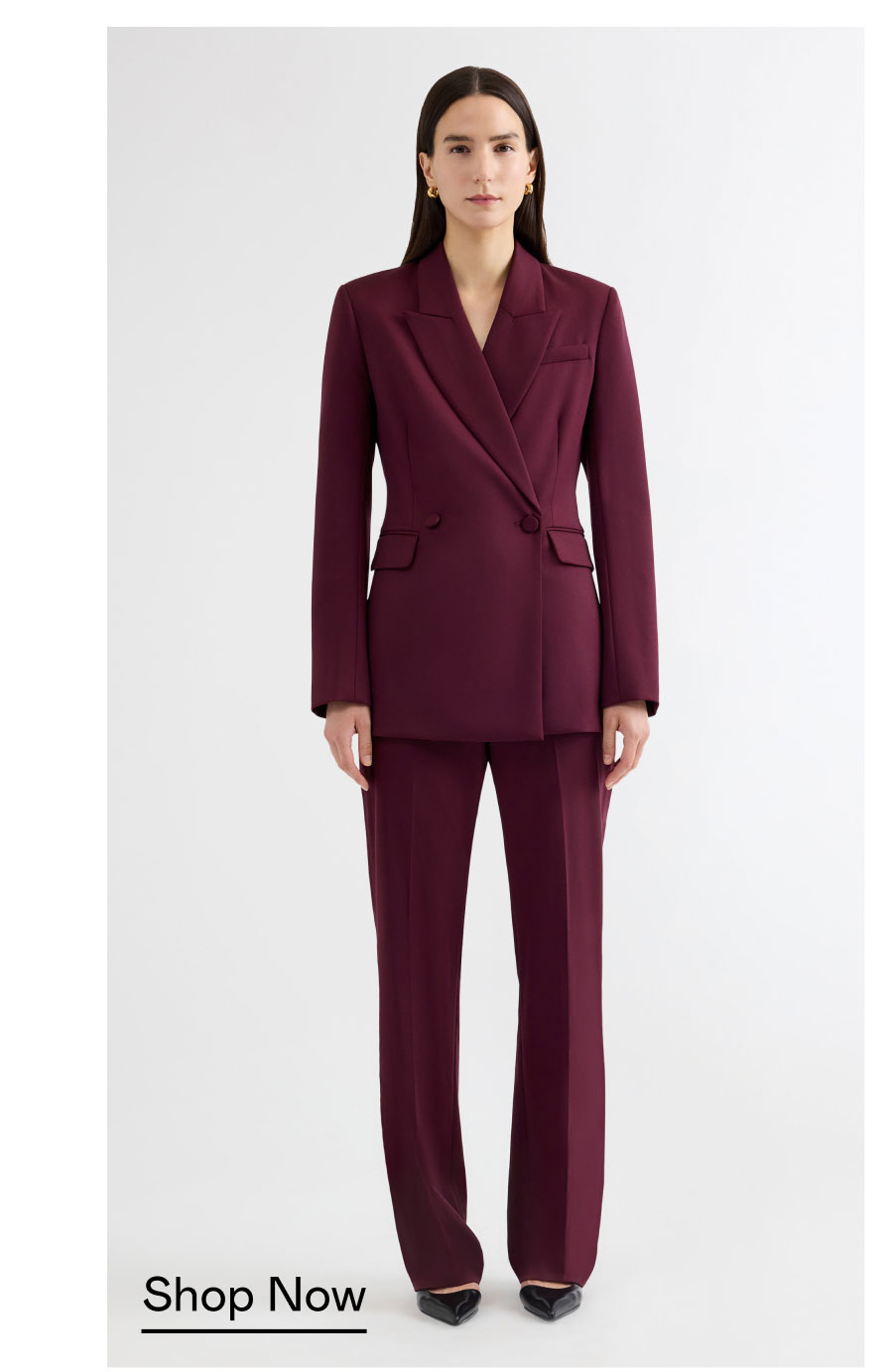 The Dark Plum Suit The Dark Plum Suit