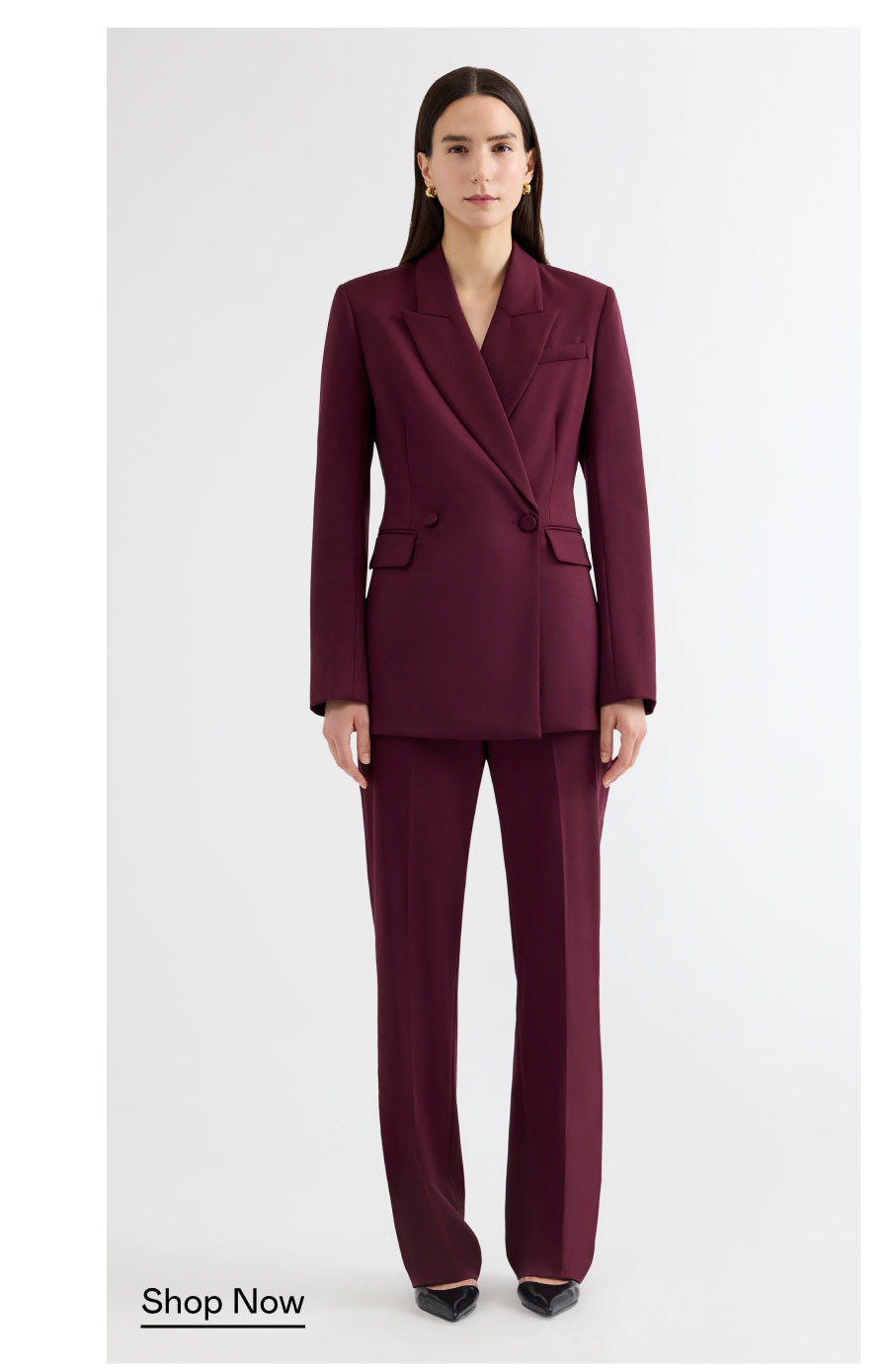 The Dark Plum Suit