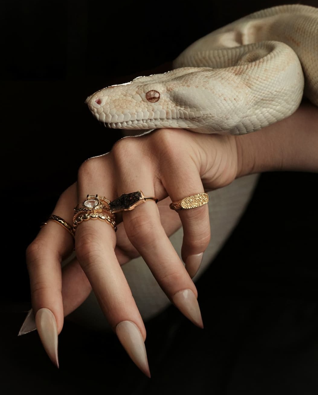 Hand wearing snake rings with a white snake
