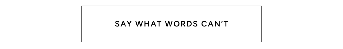 SAY WHAT WORDS CAN’T