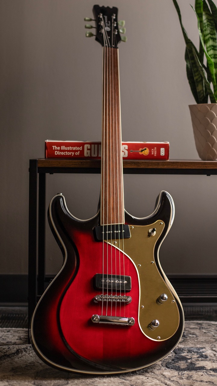 sidejack baritone fretless