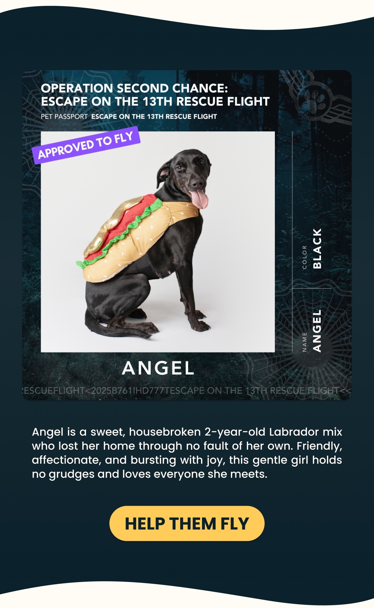 ANGEL
