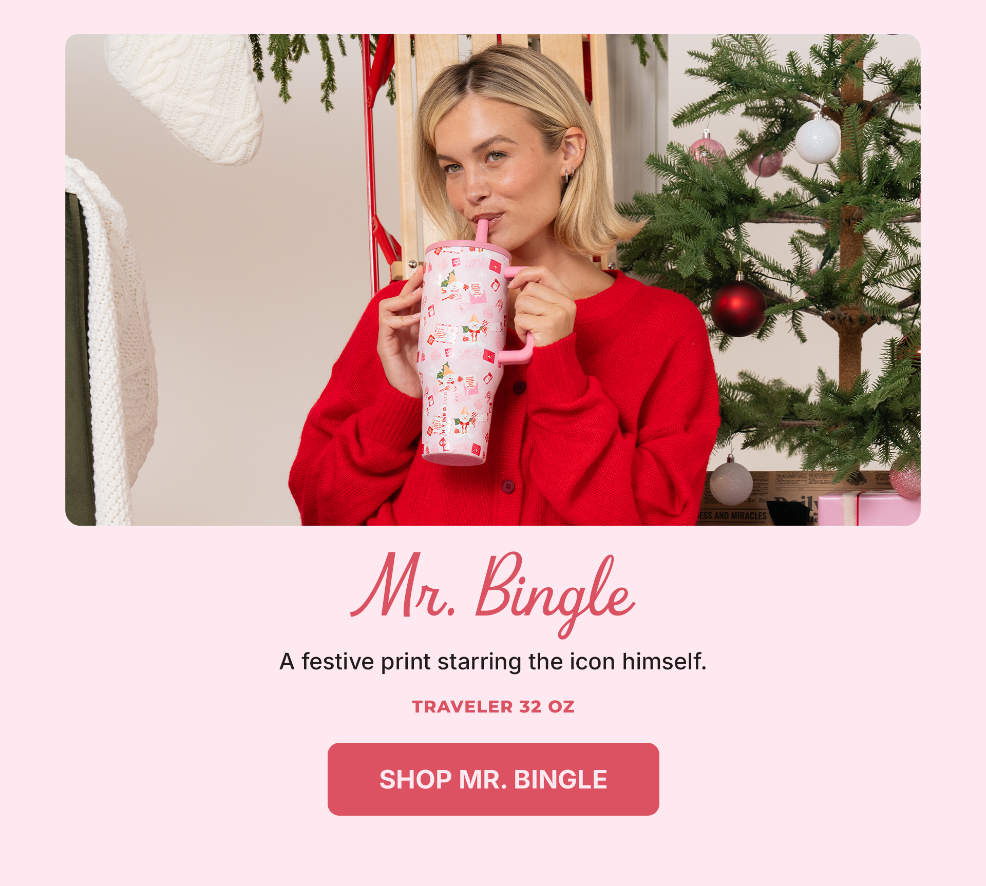 Shop Mr. Bingle