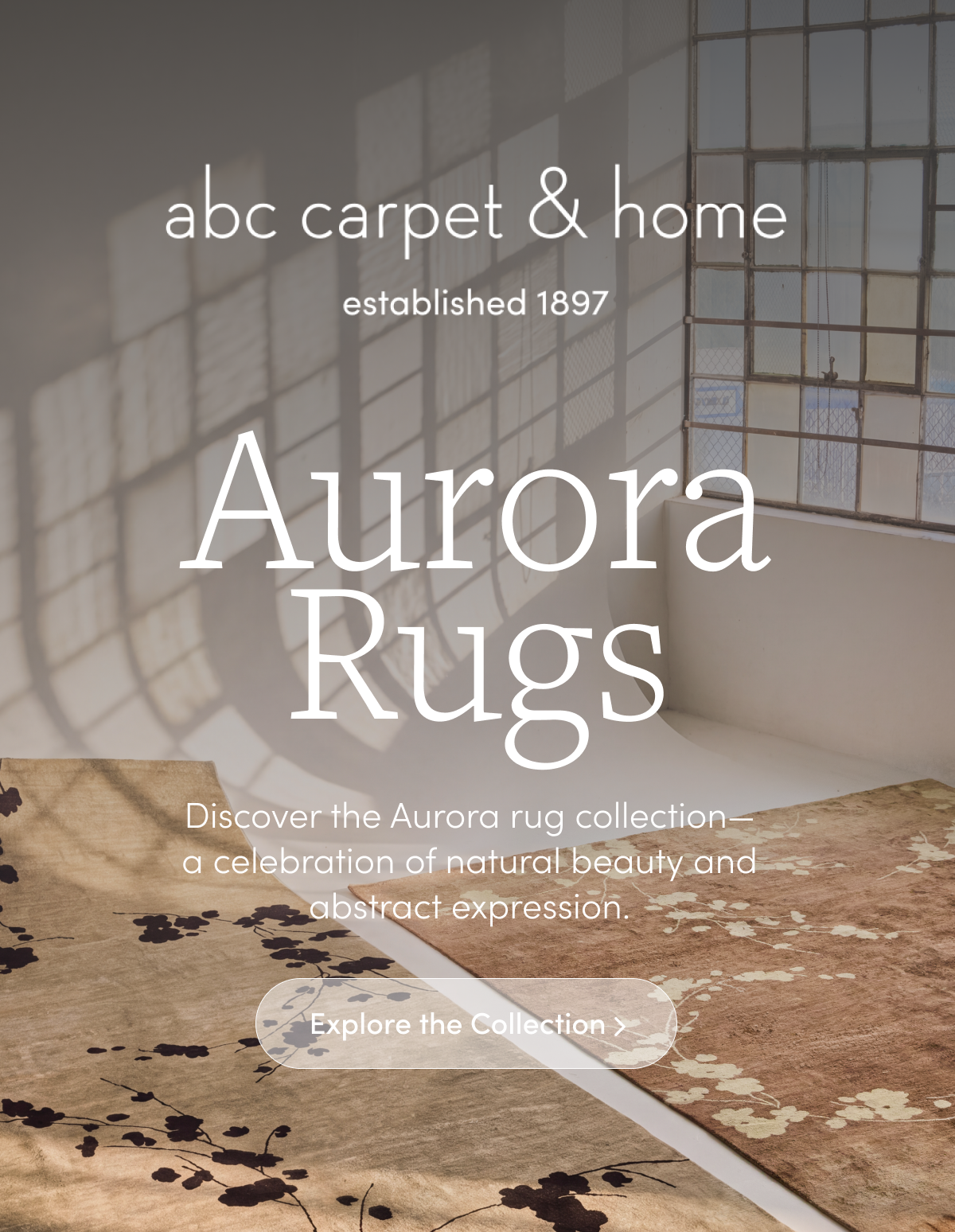 Explore the Collection: Aurora Rugs