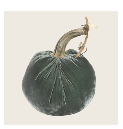 Hot Skwash Silk Velvet Pumpkin - Willow