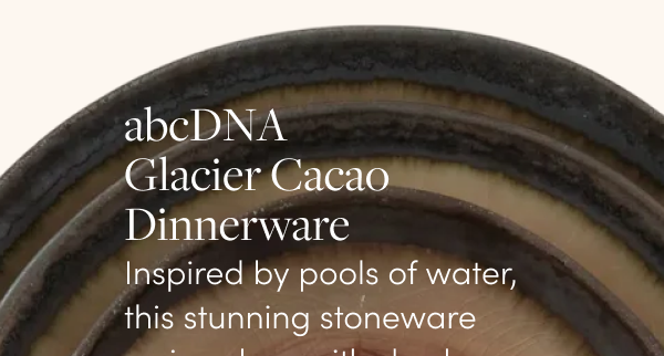 abcDNA Glacier Cacao Dinnerware