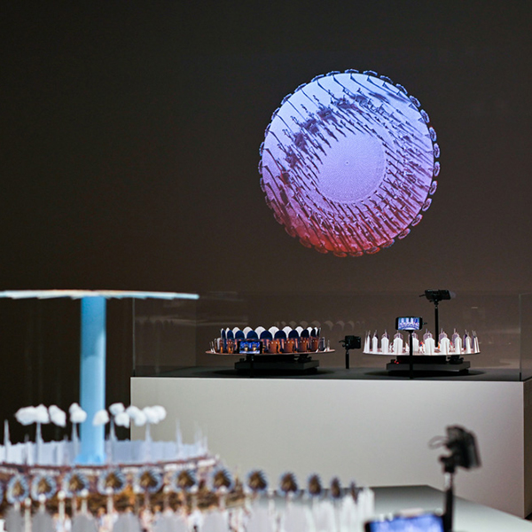 Example of Tee Kee Ng artwork projection on display