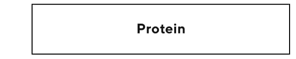Protein