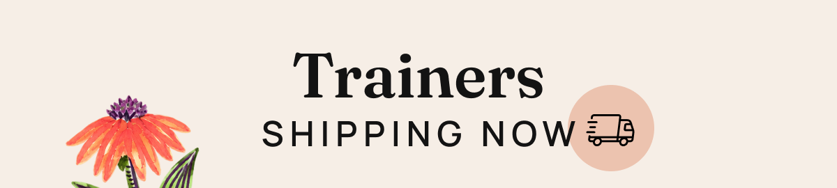 Trainers - shipping now