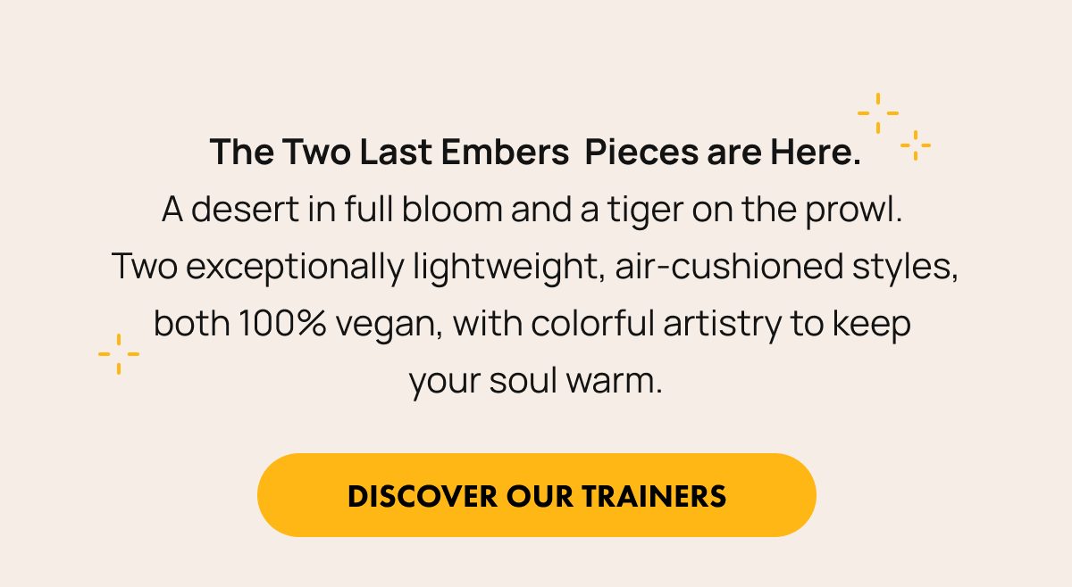 discover our trainers