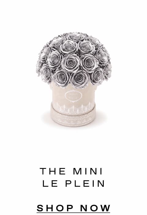 THE MINI LE PLEIN