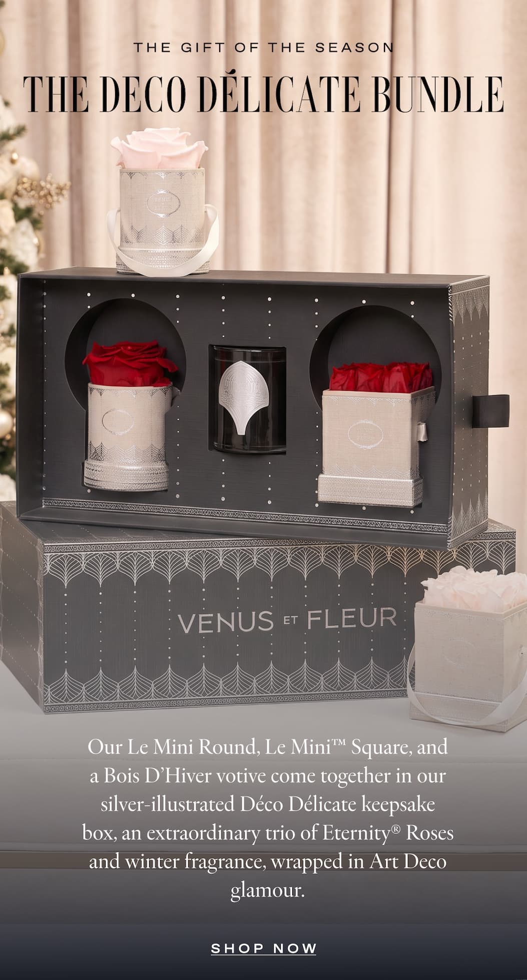 THE DECO DÉLICATE BUNDLE