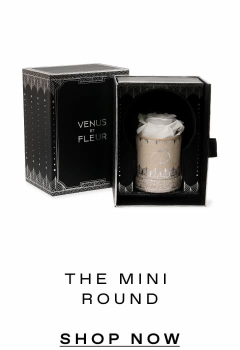 THE MINI ROUND