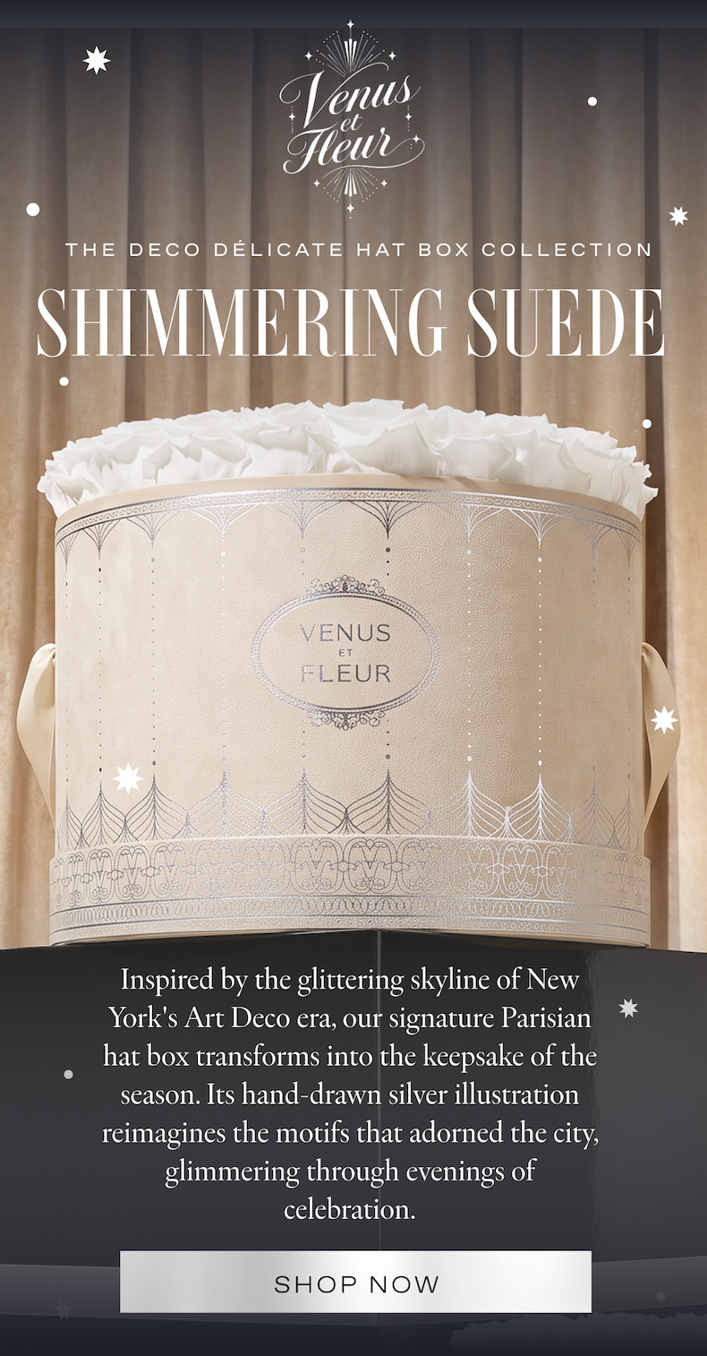 SHIMMERING SUEDE