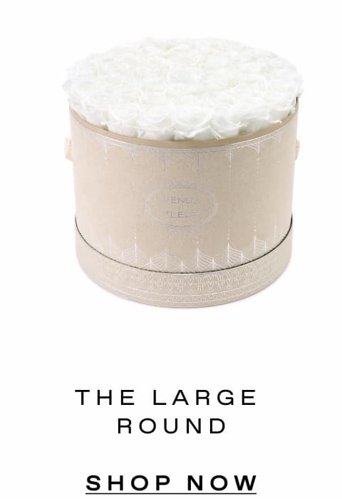 THE LARGE ROUND